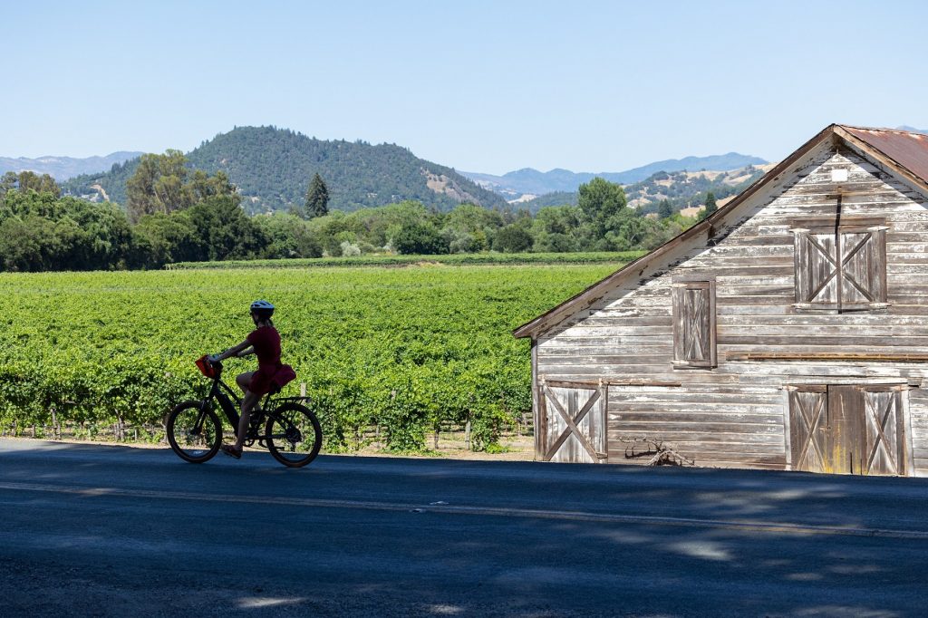 Healdsburg Luxury Living by Emily Martin