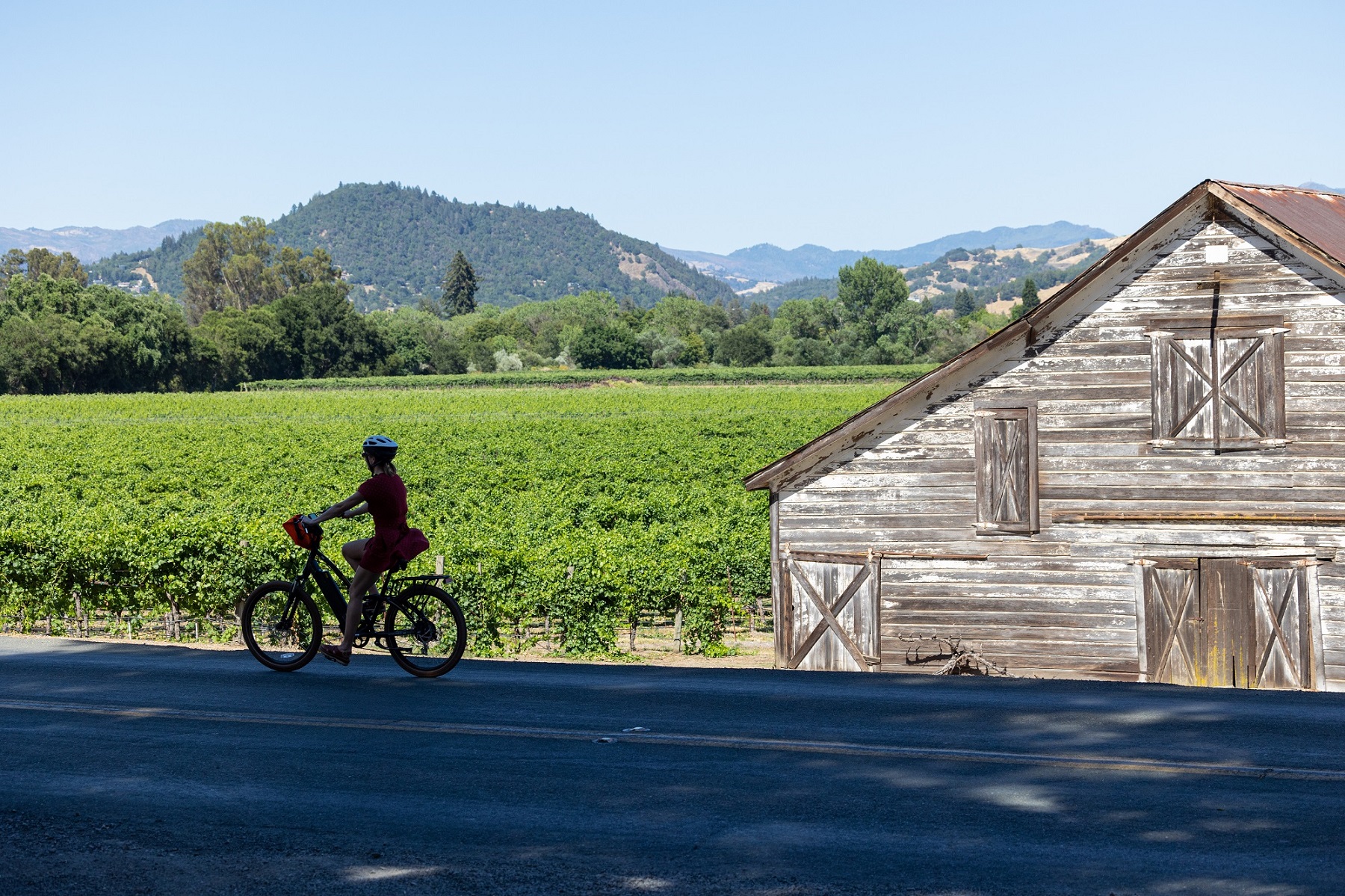 Healdsburg Luxury Living by Emily Martin