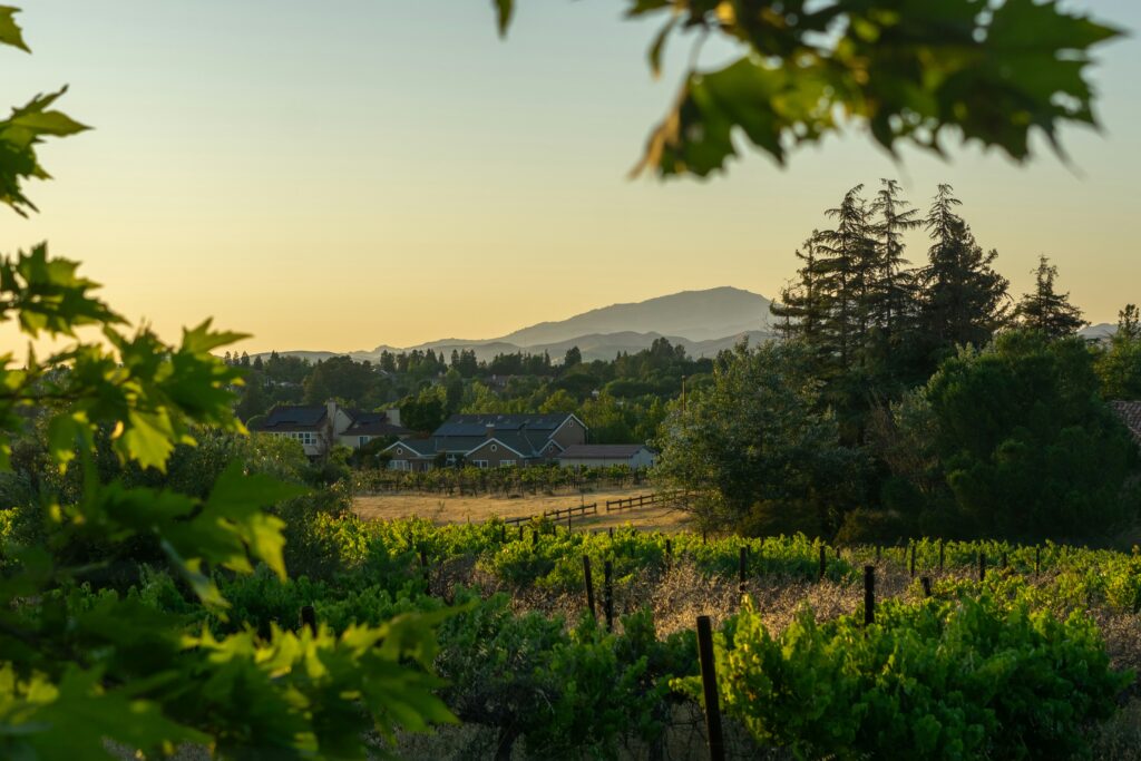 Reasons to Retire in Healdsburg