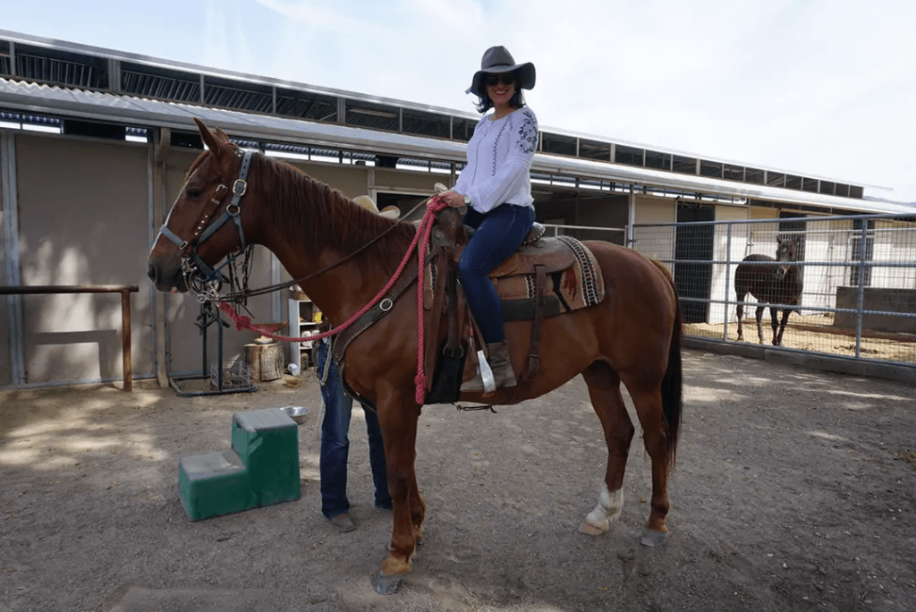 Horse riding activity in Sonoma