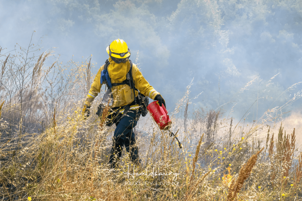 How to Prepare for Wildfires in Sonoma and Napa Valley