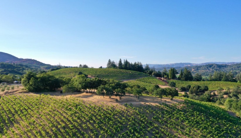 Parkland Farms