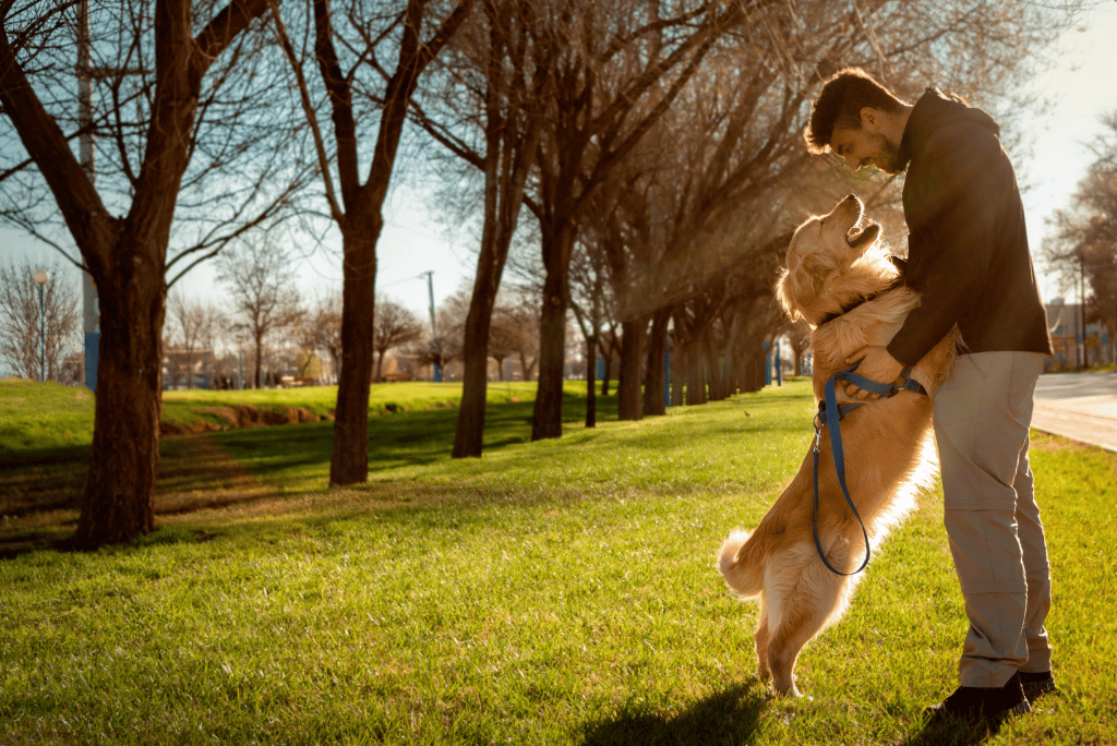 Santa Rosa Dog-friendly