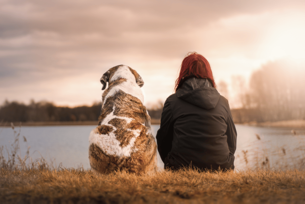 Sonoma Valley dog friendly community