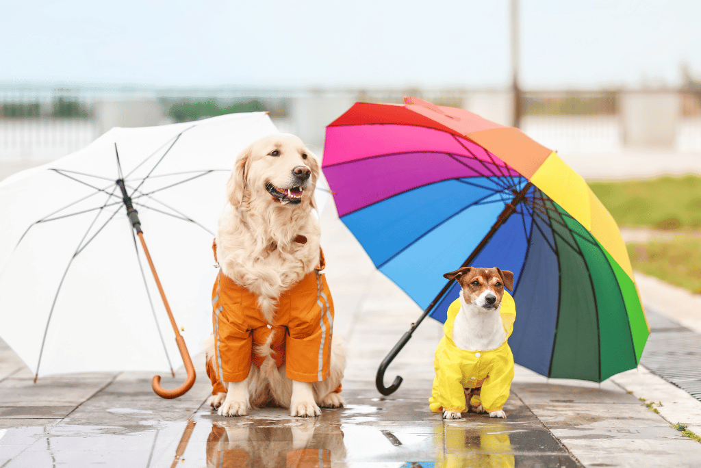 Windor Dog-friendly community