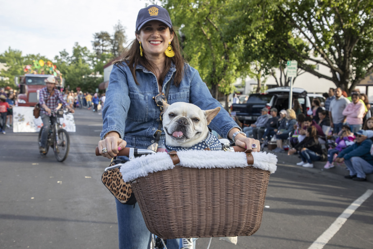 Healdsburg Events for 2nd home Owners