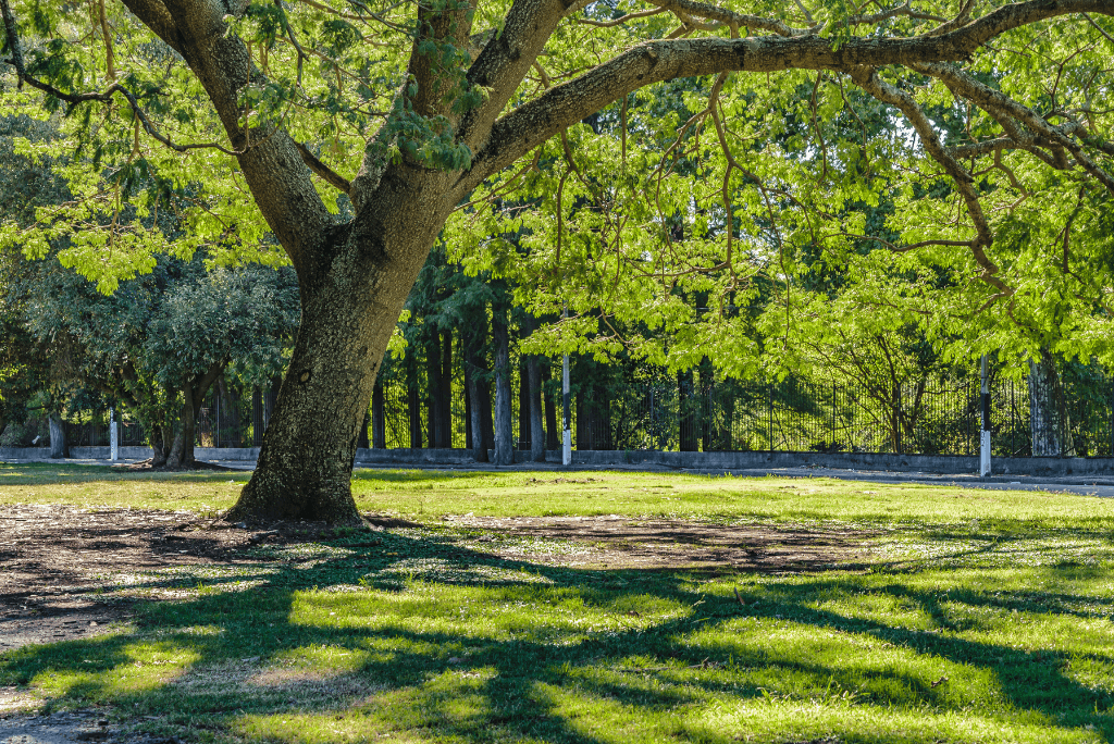 things to do in Windsor Keiser Park