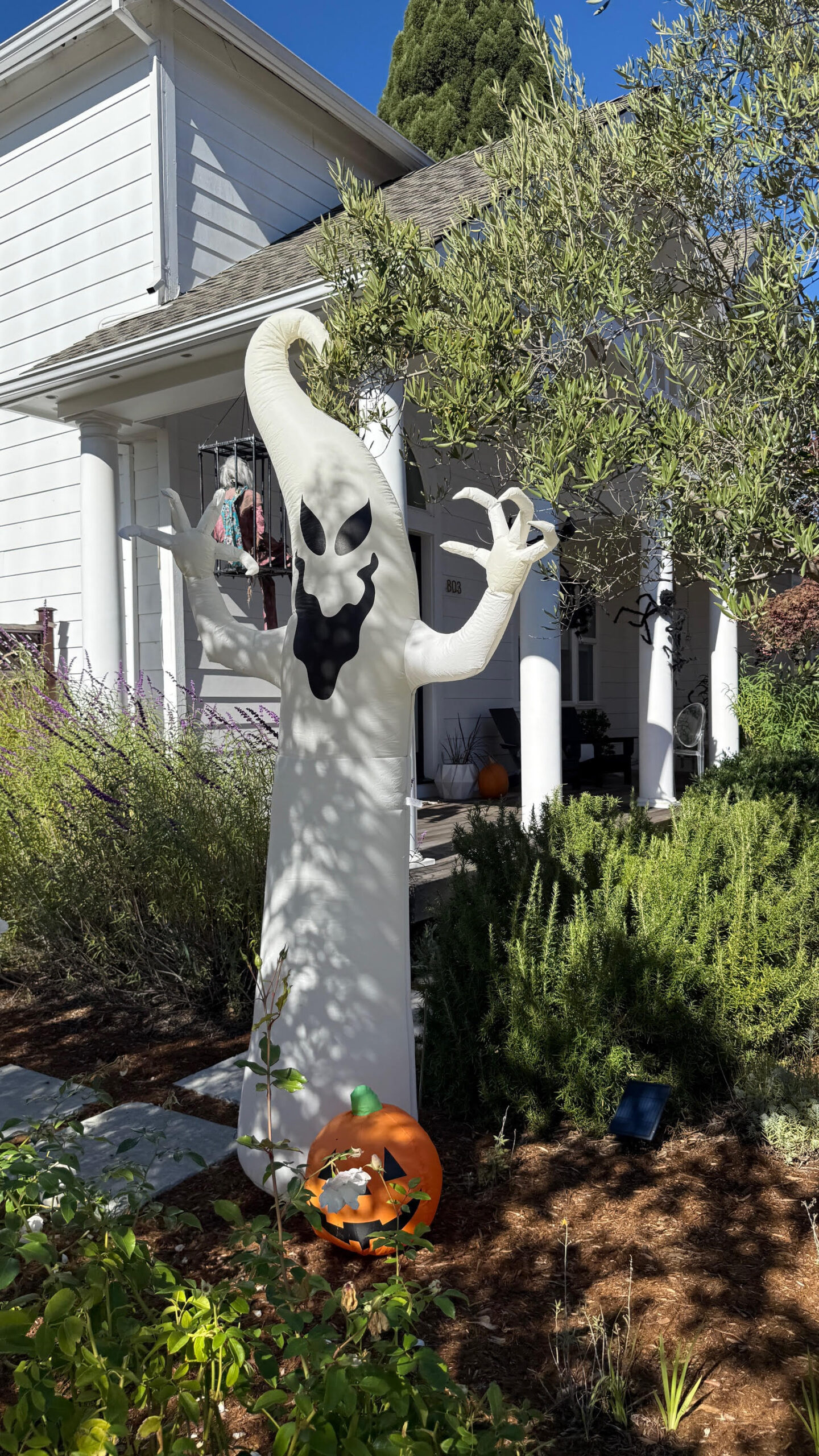 Best Halloween Decor Healdsburg