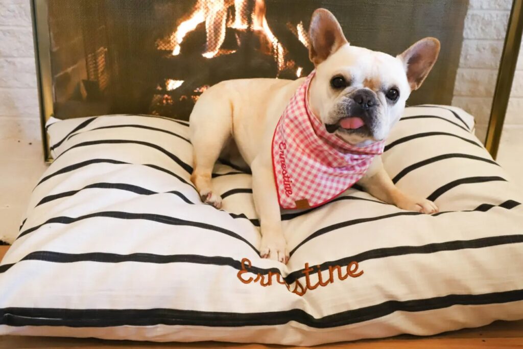 best healdsburg veterinarians