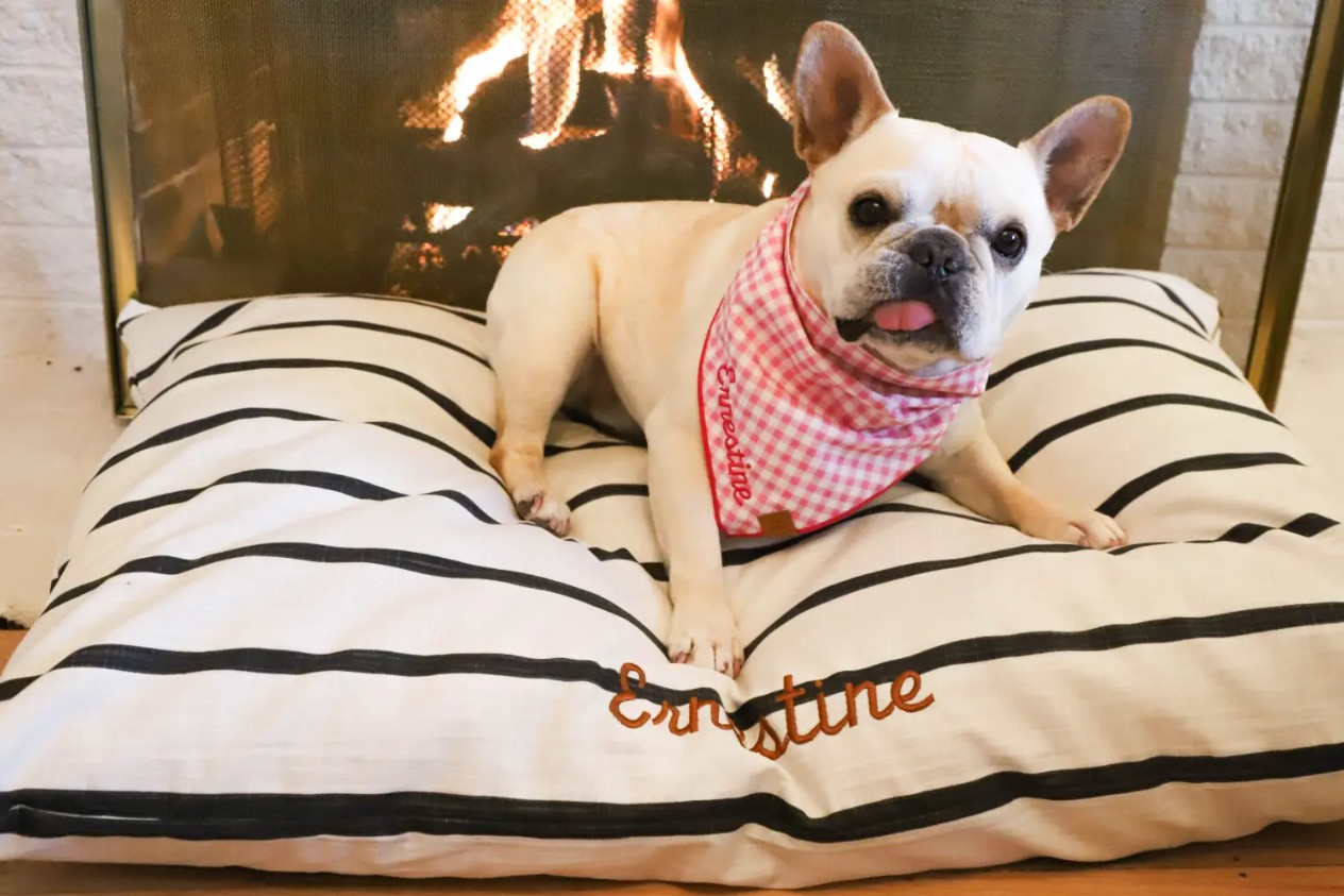 best healdsburg veterinarians