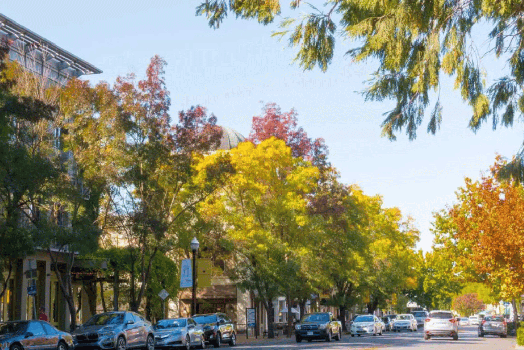 Single-Family Neighborhoods in Healdsburg