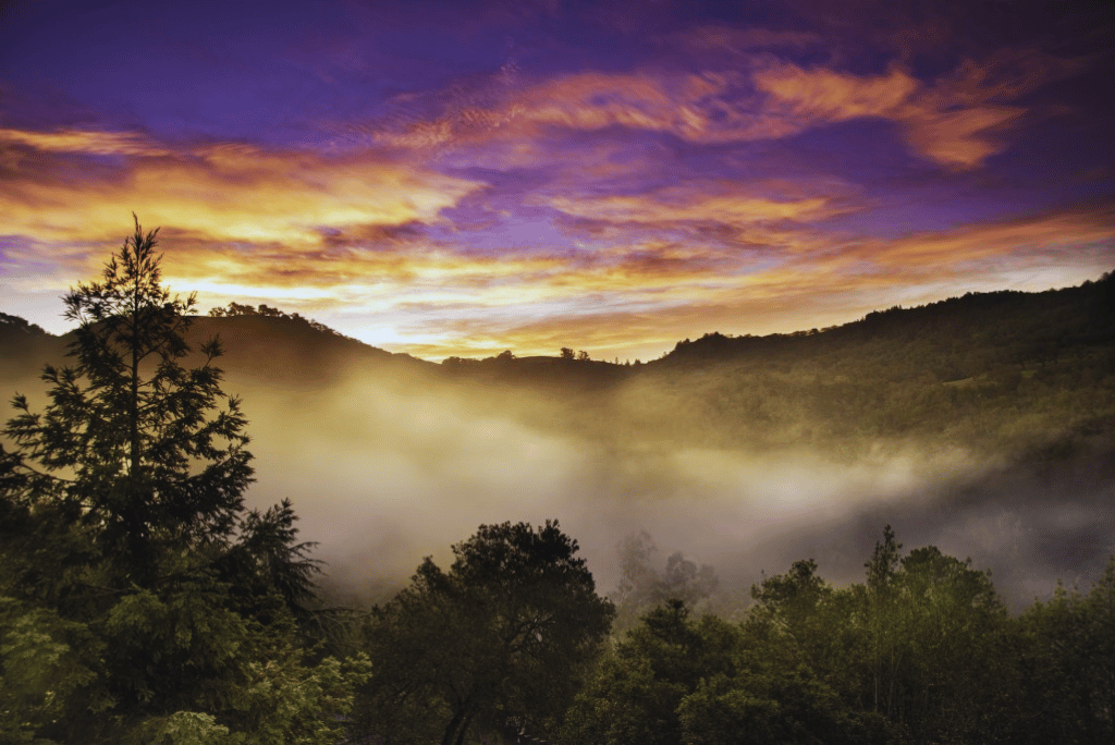 Second home in Fitch Mountain Healdsburg