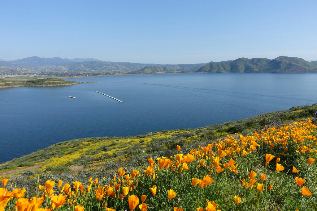 Winter in Sonoma County