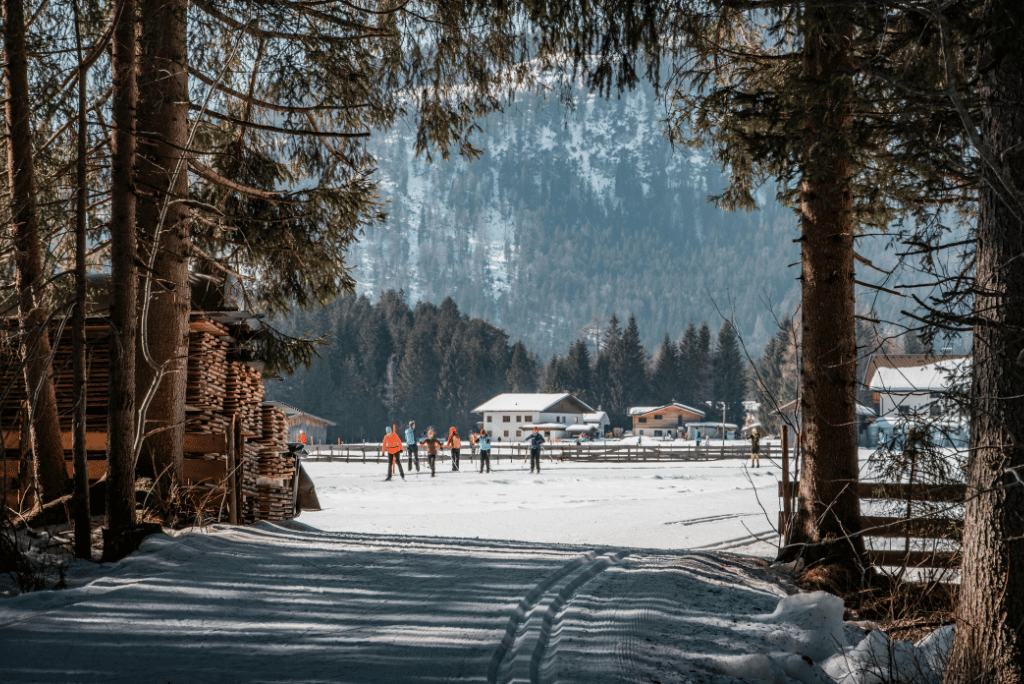 Winter activities in Sonoma County