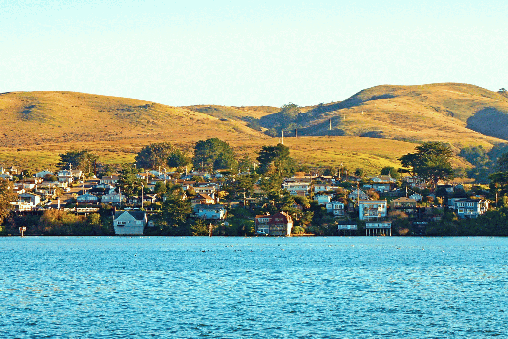 Moving to Sonoma County